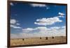 Farm Field, Sioux Falls, South Dakota, USA-Walter Bibikow-Framed Photographic Print