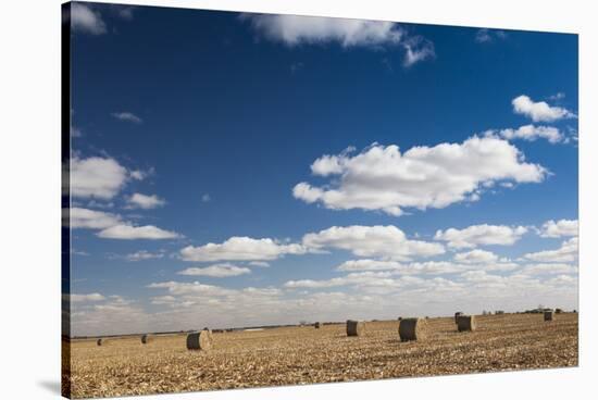 Farm Field, Sioux Falls, South Dakota, USA-Walter Bibikow-Stretched Canvas