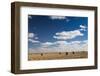 Farm Field, Sioux Falls, South Dakota, USA-Walter Bibikow-Framed Photographic Print