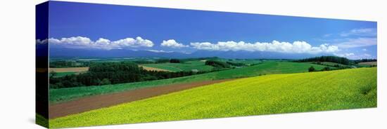 Farm Fields Biei Hokkaido Japan-null-Stretched Canvas