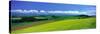 Farm Fields Biei Hokkaido Japan-null-Stretched Canvas