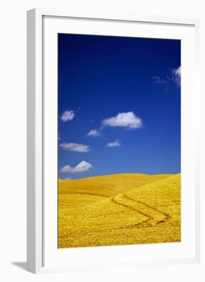 Farm Fields of Golden Harvest Wheat, Palouse Country, Washington, USA-Terry Eggers-Framed Photographic Print