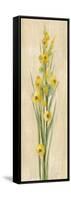 Farm Flower III-Silvia Vassileva-Framed Stretched Canvas