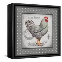 Farm Fresh Eggs I-Gwendolyn Babbitt-Framed Stretched Canvas