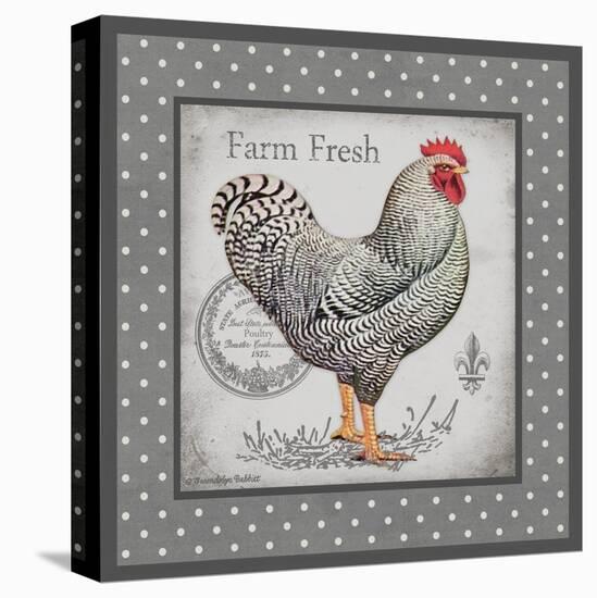 Farm Fresh Eggs I-Gwendolyn Babbitt-Stretched Canvas