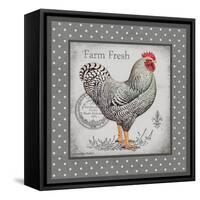 Farm Fresh Eggs I-Gwendolyn Babbitt-Framed Stretched Canvas