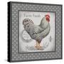 Farm Fresh Eggs I-Gwendolyn Babbitt-Stretched Canvas