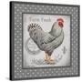 Farm Fresh Eggs I-Gwendolyn Babbitt-Stretched Canvas