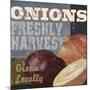 Farm Fresh III-Fiona Stokes-Gilbert-Mounted Giclee Print
