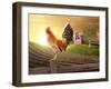 Farm Fresh Morning-jgroup-Framed Photographic Print