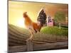 Farm Fresh Morning-jgroup-Mounted Photographic Print