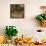 Farm Fresh Produce-null-Mounted Giclee Print displayed on a wall