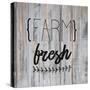 Farm Fresh-Kimberly Allen-Stretched Canvas