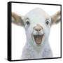 Farm Friends I-Myles Sullivan-Framed Stretched Canvas