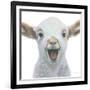 Farm Friends I-Myles Sullivan-Framed Art Print