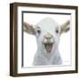 Farm Friends I-Myles Sullivan-Framed Art Print