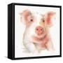 Farm Friends III-Lisa Audit-Framed Stretched Canvas