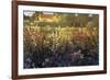 Farm Garden-Philip Craig-Framed Giclee Print