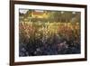 Farm Garden-Philip Craig-Framed Giclee Print