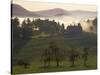 Farm, Giles County, Virginia, USA-Charles Gurche-Stretched Canvas