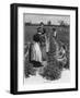 Farm Girls Harvesting-R Taylor-Framed Art Print