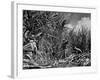 Farm Hands Working on a Sugar Cane Farm-Hansel Mieth-Framed Photographic Print