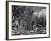 Farm Hands Working on a Sugar Cane Farm-Hansel Mieth-Framed Photographic Print