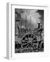 Farm Hands Working on a Sugar Cane Farm-Hansel Mieth-Framed Photographic Print