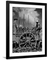 Farm Hands Working on a Sugar Cane Farm-Hansel Mieth-Framed Photographic Print