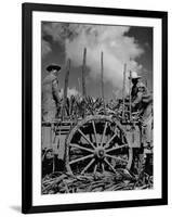 Farm Hands Working on a Sugar Cane Farm-Hansel Mieth-Framed Photographic Print