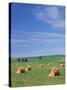 Farm Hay Bales and Clouds, Eastern Washington, USA-Adam Jones-Stretched Canvas