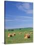 Farm Hay Bales and Clouds, Eastern Washington, USA-Adam Jones-Stretched Canvas