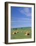 Farm Hay Bales and Clouds, Eastern Washington, USA-Adam Jones-Framed Photographic Print