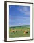 Farm Hay Bales and Clouds, Eastern Washington, USA-Adam Jones-Framed Photographic Print