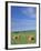 Farm Hay Bales and Clouds, Eastern Washington, USA-Adam Jones-Framed Photographic Print