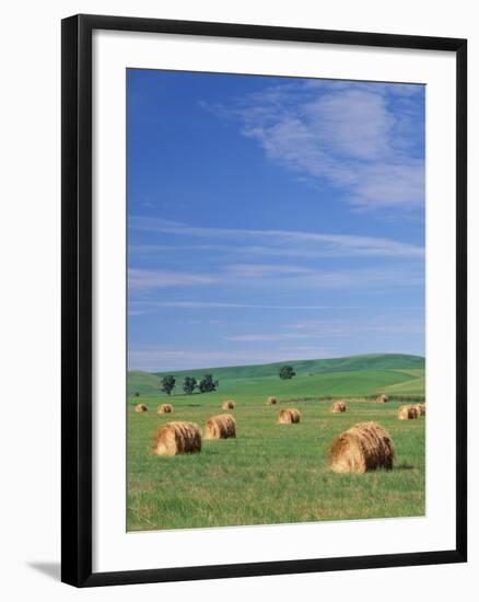 Farm Hay Bales and Clouds, Eastern Washington, USA-Adam Jones-Framed Photographic Print