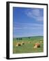 Farm Hay Bales and Clouds, Eastern Washington, USA-Adam Jones-Framed Photographic Print