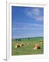 Farm Hay Bales and Clouds, Eastern Washington, USA-Adam Jones-Framed Photographic Print
