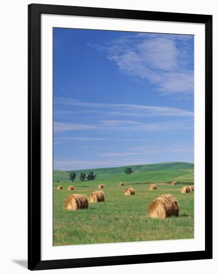 Farm Hay Bales and Clouds, Eastern Washington, USA-Adam Jones-Framed Photographic Print