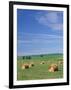 Farm Hay Bales and Clouds, Eastern Washington, USA-Adam Jones-Framed Photographic Print