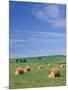 Farm Hay Bales and Clouds, Eastern Washington, USA-Adam Jones-Mounted Photographic Print