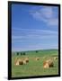 Farm Hay Bales and Clouds, Eastern Washington, USA-Adam Jones-Framed Photographic Print