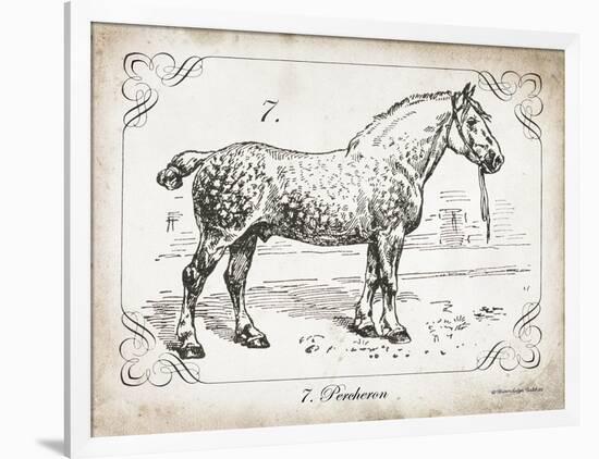 Farm Horse I-Gwendolyn Babbitt-Framed Art Print