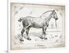 Farm Horse I-Gwendolyn Babbitt-Framed Art Print