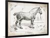 Farm Horse I-Gwendolyn Babbitt-Framed Art Print