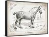 Farm Horse I-Gwendolyn Babbitt-Framed Stretched Canvas