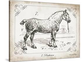 Farm Horse I-Gwendolyn Babbitt-Stretched Canvas