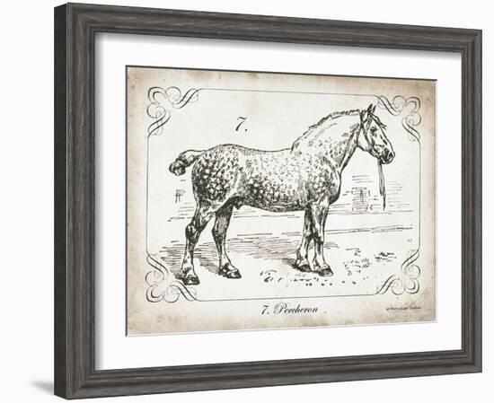 Farm Horse I-Gwendolyn Babbitt-Framed Art Print