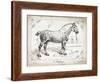 Farm Horse I-Gwendolyn Babbitt-Framed Art Print