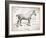 Farm Horse I-Gwendolyn Babbitt-Framed Art Print